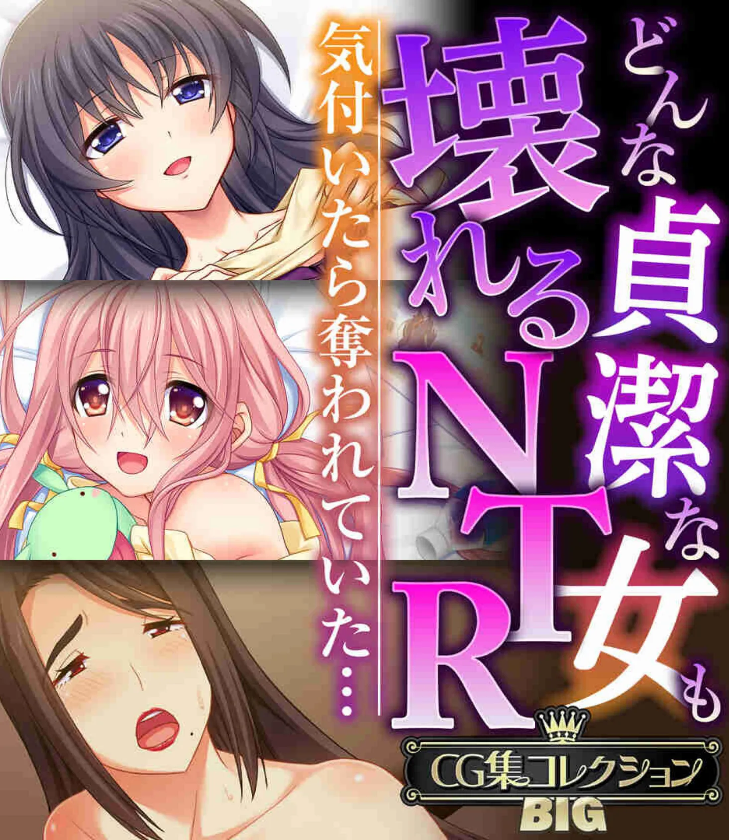 どんな貞潔な女も壊れるNTR〜気付いたら奪われていた…〜【CG集コレクションBIG】