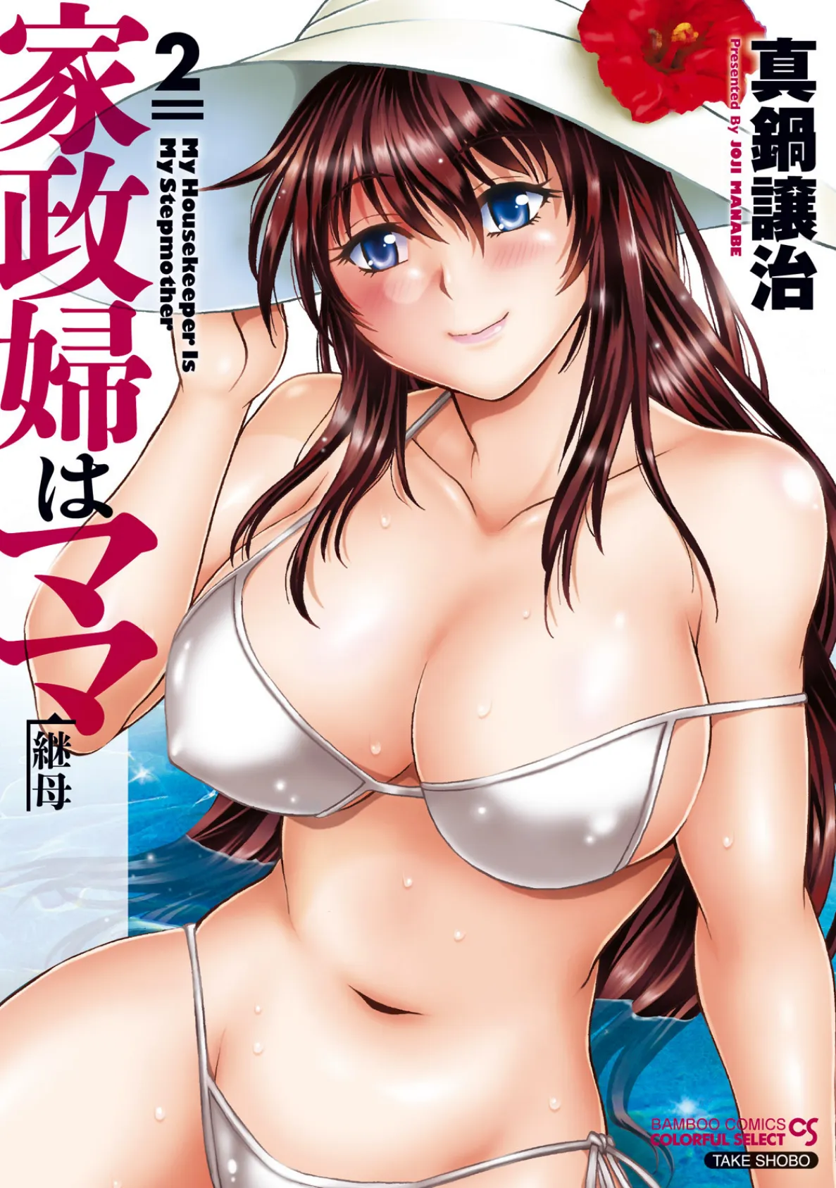 家政婦はママ (2)